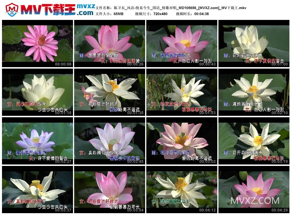 陈卫东_风语-情系今生_国语_情歌对唱_MD105656